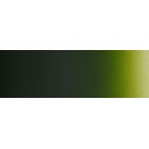 Colore Verde muschio trasparente  - 2