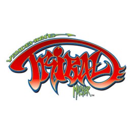 TRIBAL MASTER  by STEVE VANDEMON  - 1