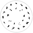 Animals - Medea Design Wheel  - 1