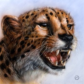 Corso Base Aerografia